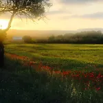 Le Flamant Rouge Frühstückspension
